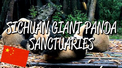 Sichuan Giant Panda Sanctuaries Unesco World Heritage Site Youtube