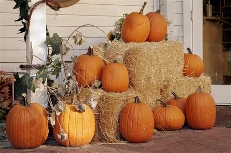 Pumpkins