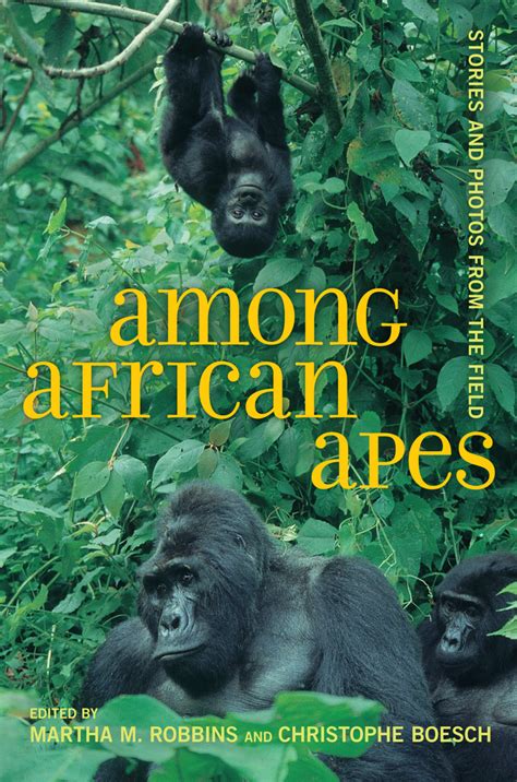 Among African Apes By Martha M Robbins Christophe Boesch Paperback