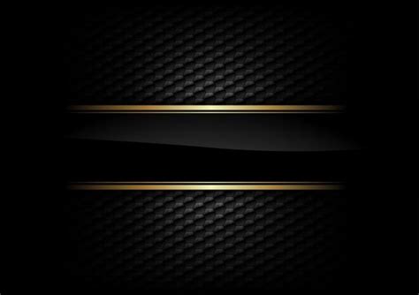 Black Vector Background High Quality Images And Videos For Download