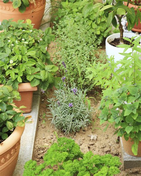 Advertisement garden design should be one of your first considerations in planning a g. Herb Garden Design - Different Types Of Herb Gardens