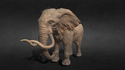 3d Model Elephant Rigging Animation