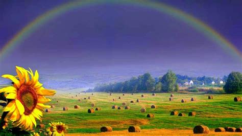Rainbow Sunshine Wallpapers Wallpapersafari