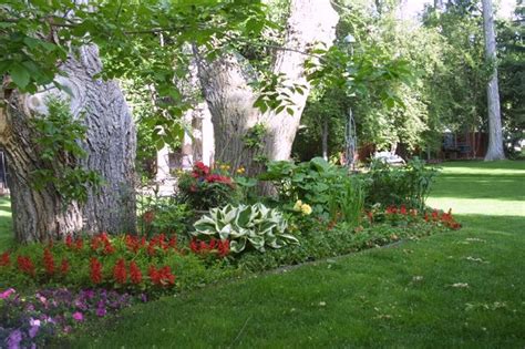 Our shade garden plants usually become choice plants for the shaded parts of our garden, since few things grow under. Frugalicious Chick: Some of My Favorite Things