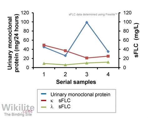 Collect a random sample of urine to rule out the presence of protein. Serum versus urine tests for free light chains | Wikilite