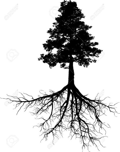 Tree Roots Cliparts Stock Vector And Royalty Free Tree Roots