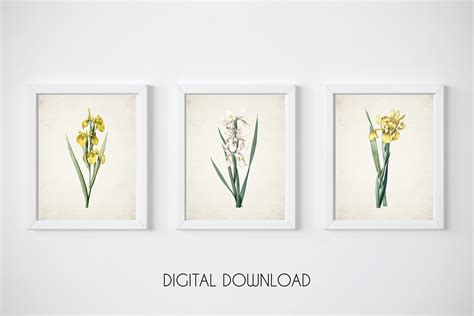 Iris Flower Yellow Botanical Prints Flower Wall Art Set 196210