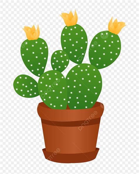 Cute Cactus Cartoon Cactus Cactus Green Plant Cactus Cute Cactus