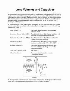 Lung Volumes And Capacities 1