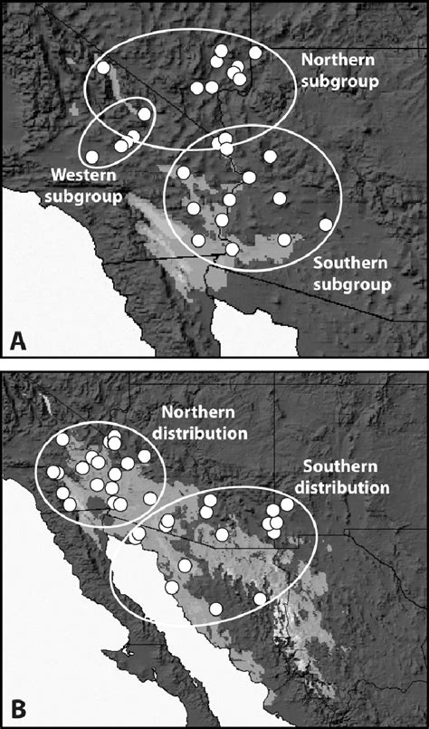 —enlarged Views Of Ecological Niche Models Of Latest Glacial Maximum