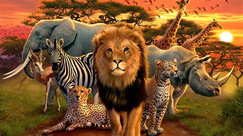 African Animals Wallpaper 61 Images