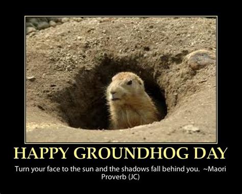 Happy Groundhog Day Funny Quote Groundhog Day Pinterest It Is