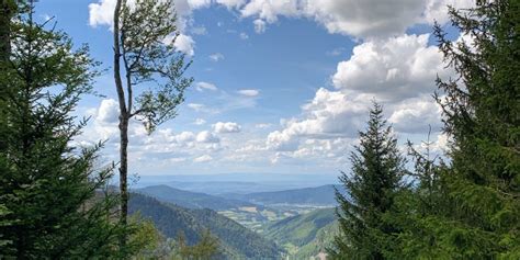 Titisee Freiburg über Rinkenpass und Hinterwaldkopf Mountainbike