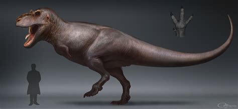 Os Dinossauros Animais Dinosaur Jurassic World Dinosaurs Tyrannosaurus