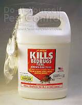 Images of Bed Bug Spray Walgreens