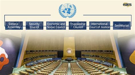 Graphics The Six Main United Nations Organs Cgtn