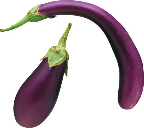 Eggplant Png And Eggplants Clipart Images Free Download Free