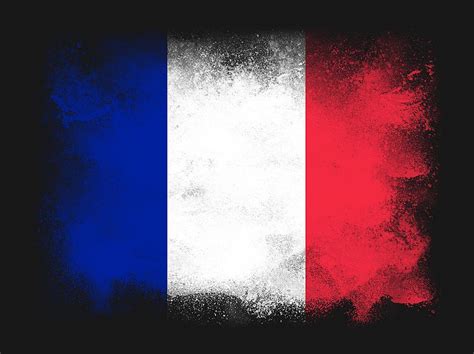 The france flag that features primary colors of blue, white and red. France flag Digital Art by PsychoShadow ART
