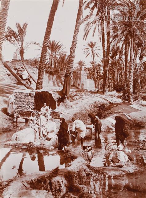 Circa 1900 Oasis De Nefta Tozeur Tunisie Paysage