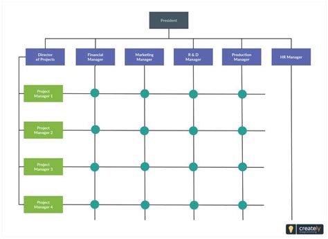 Matrix Organization Structure Template Org Chart Organizational