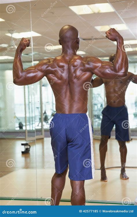 Rear View Of Muscular Man Flexing Muscles In Gym Stock Image Image Of