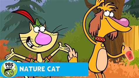 Nature Cat Stinks And Stings Pbs Kids Youtube