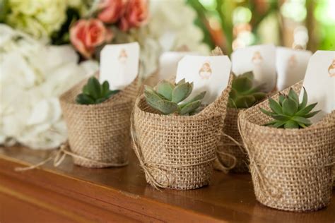 Giving Plants As Wedding Favors My Frugal Wedding