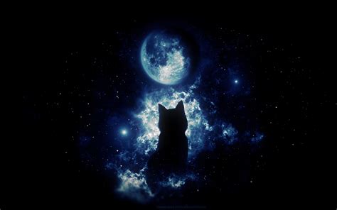 Download Black Cat Moon Wallpaper On By Matthewmcclain Black Cat