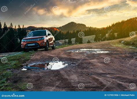 Suv Parked On The Road Near Forest At Sunrise Stock Photo Image Of