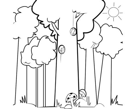 Pasos De Como Dibujar Un Bosque De Manera Sencilla