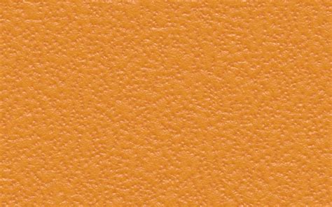 Free Download Citrus Fruit Skin Orange Texture Backgrounds Full