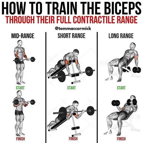 Pin By Tia Terranique 🍒 On Health And Wellness In 2020 Biceps Training