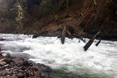 Sandy River Gorge Rafting And Kayaking Whitewater Guidebook