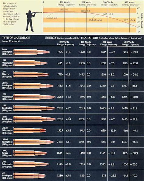 Ammo And Gun Collector Comparison Of Popular Hunting Rifle Ammo Calibers