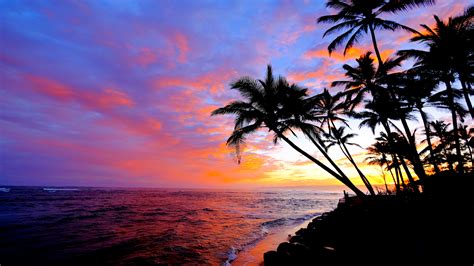 free images beach island sunrise fire gold horizon sunset nature afterglow ocean