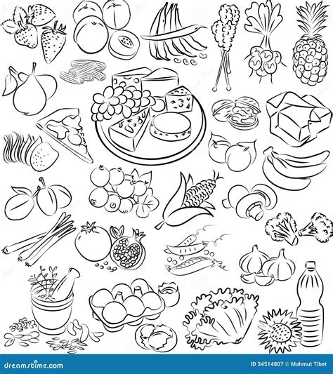 Foods Stock Vector Illustration Of Bakery Kiwi Bread 34514807