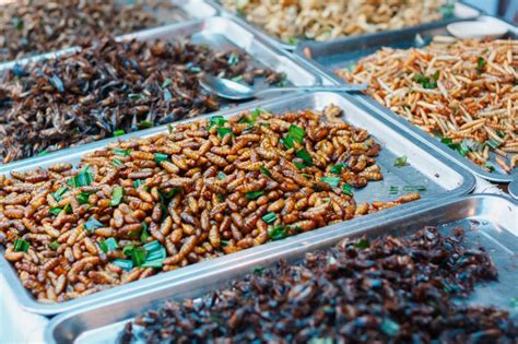 Manger Des Insectes La Nouvelle Tendance Alimentaire Insolite