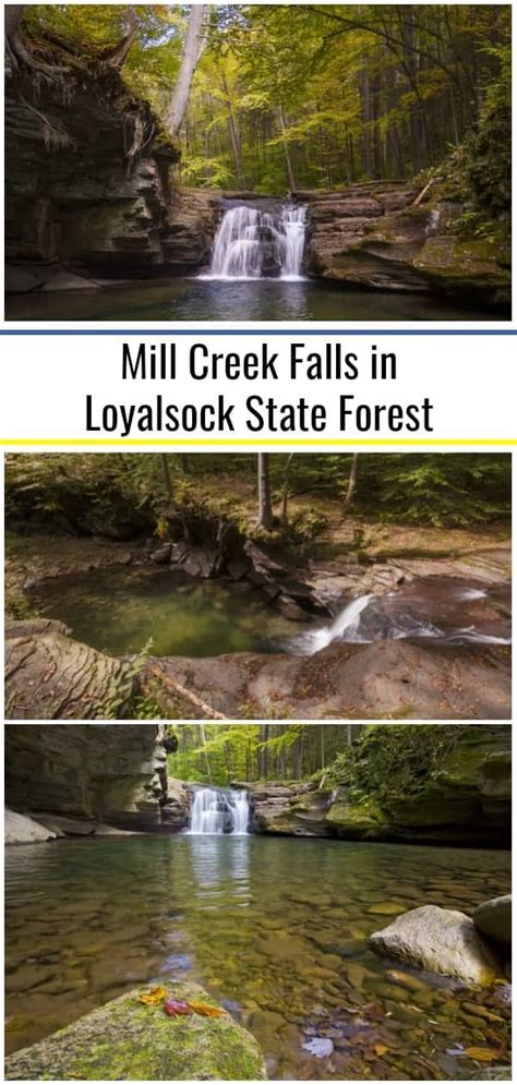 More than 11 million doses of covid vaccine have been administered in pa. Pennsylvania Waterfalls: How to Get to Mill Creek Falls in ...