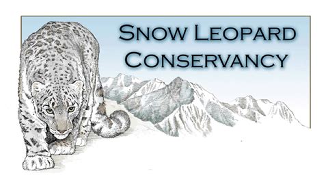 Snow Leopard Conservancy Sonoma Ca