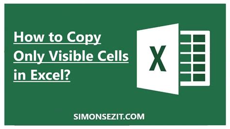 How To Copy Only Visible Cells After Filter Vba Templates Sample