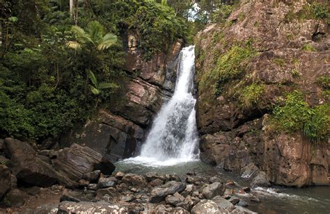 El Yunque National Rainforest Río Grande Puerto Rico Top 10 Puerto Rico