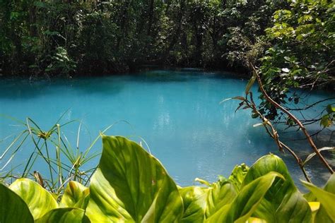 Rio Celeste Waterfall Sloth Encounter Tour In The Rain Forest Of