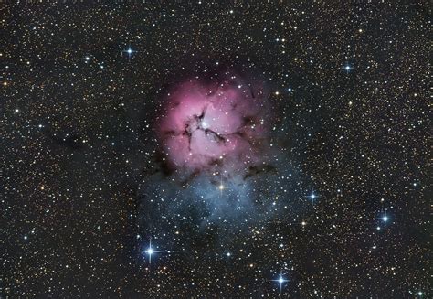 Trifid Nebula Sponli News