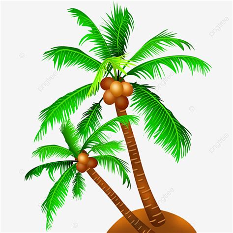 Coconut Palm Tree Clipart Transparent Png Hd Coconut Tree Illustration