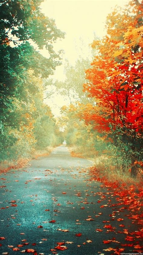 Autumn Fall Road 1080x1920 Wallpaper Supportive Guru