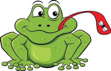 Best Frog Catching Flies Illustrations Royalty Free Vector Graphics And Clip Art Istock