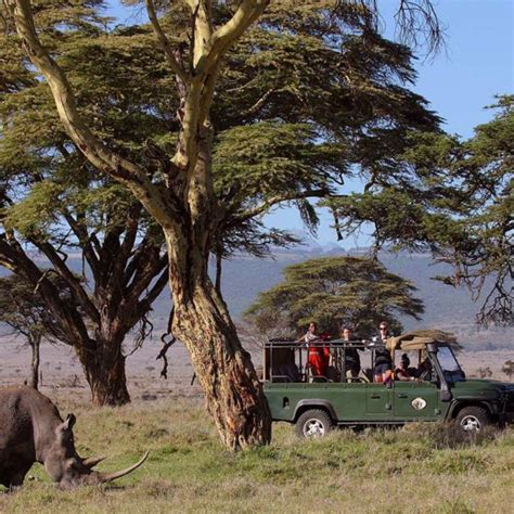 Private African Safari Houses And Villas Art Of Safari