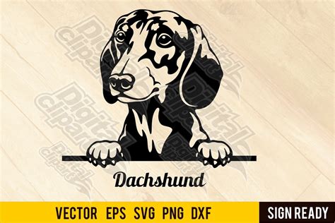 Peeking Dachshund Dog Svg Cut Ready 1099069 Cut Files Design Bundles