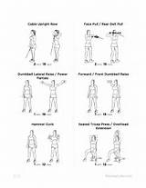 Pictures of Arm Muscle Exercises Without Weights