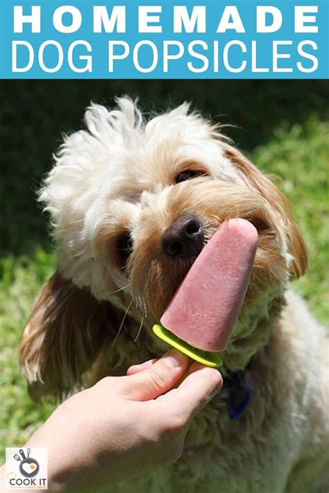 Dog Popsicles Are A Delicious And Safe Frozen Treat Your Pup Can Enjoy